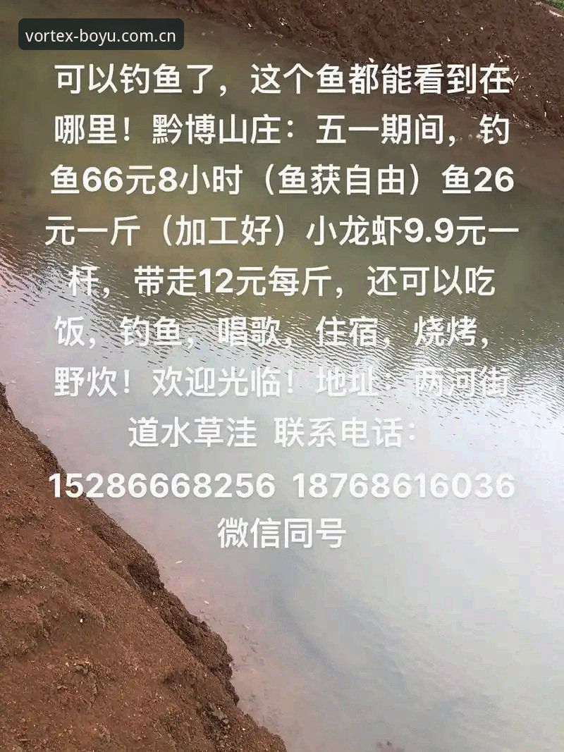 博鱼APP链接怎么下载 博鱼APP链接下载实用指南:从安装到流畅运行的必备知识